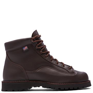 Kozaki Trekkingowe Danner Explorer All-Skórzane Damskie Kawa | PL1117WY